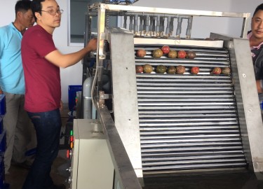 Máy Rửa Trái Cây